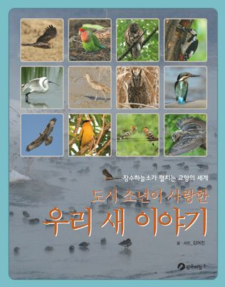 도시 소년이 사랑한 우리 새 이야기